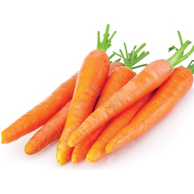 Морковь молодая 1 кг - купить в Золотиловской